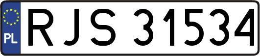 RJS31534