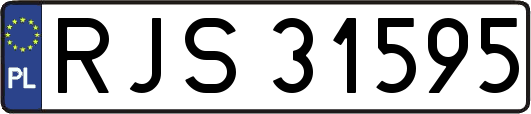 RJS31595