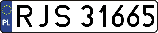 RJS31665