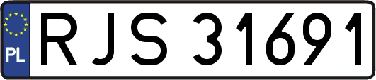 RJS31691