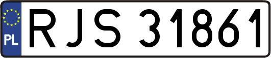 RJS31861