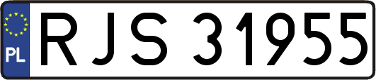 RJS31955