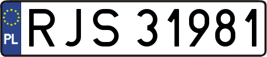 RJS31981