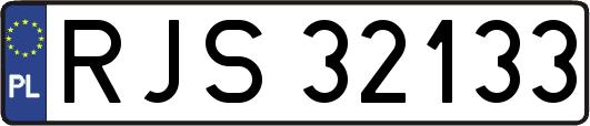 RJS32133