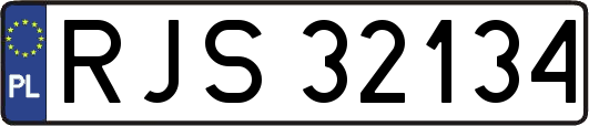 RJS32134