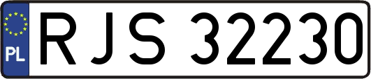 RJS32230