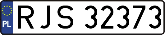 RJS32373