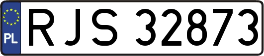 RJS32873