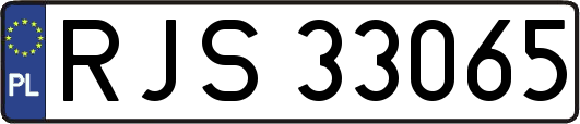RJS33065