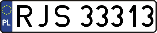 RJS33313