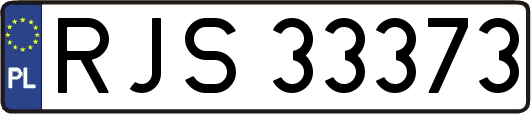 RJS33373