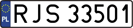 RJS33501