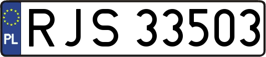 RJS33503