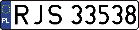 RJS33538