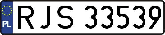 RJS33539