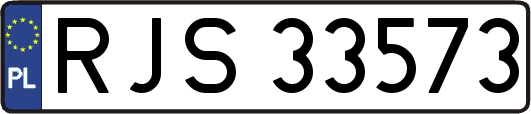 RJS33573