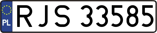 RJS33585