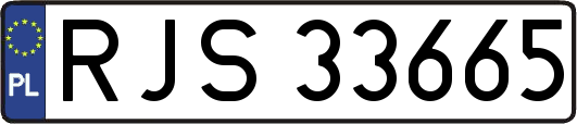 RJS33665