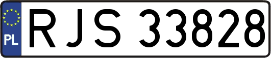 RJS33828