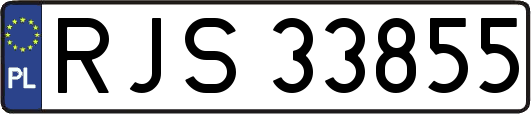 RJS33855