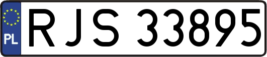 RJS33895