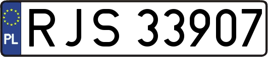 RJS33907