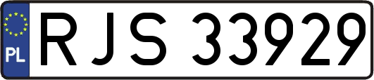 RJS33929