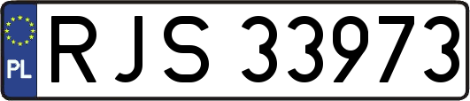 RJS33973