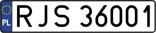 RJS36001