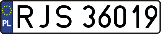 RJS36019