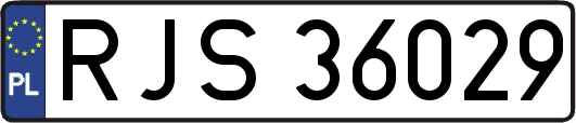 RJS36029