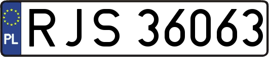 RJS36063