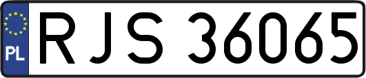 RJS36065