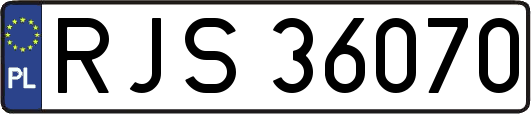 RJS36070