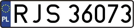 RJS36073
