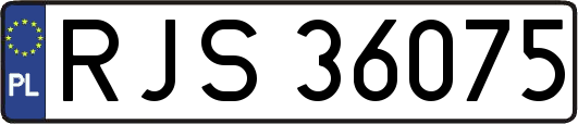RJS36075