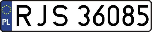 RJS36085