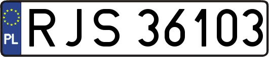 RJS36103