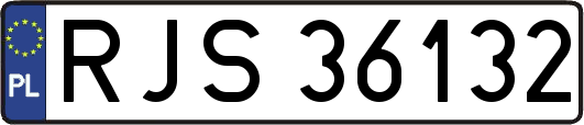 RJS36132