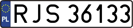RJS36133