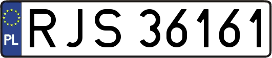 RJS36161