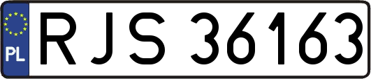 RJS36163