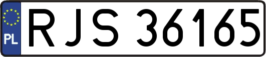 RJS36165