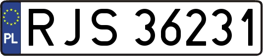 RJS36231