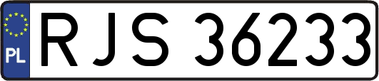 RJS36233