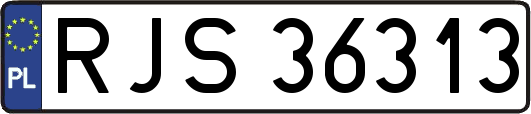RJS36313