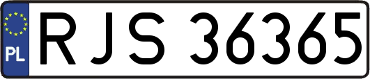 RJS36365