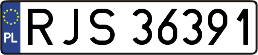 RJS36391
