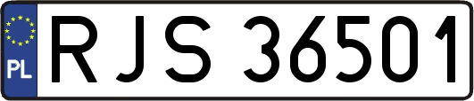 RJS36501