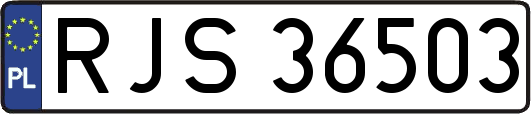 RJS36503